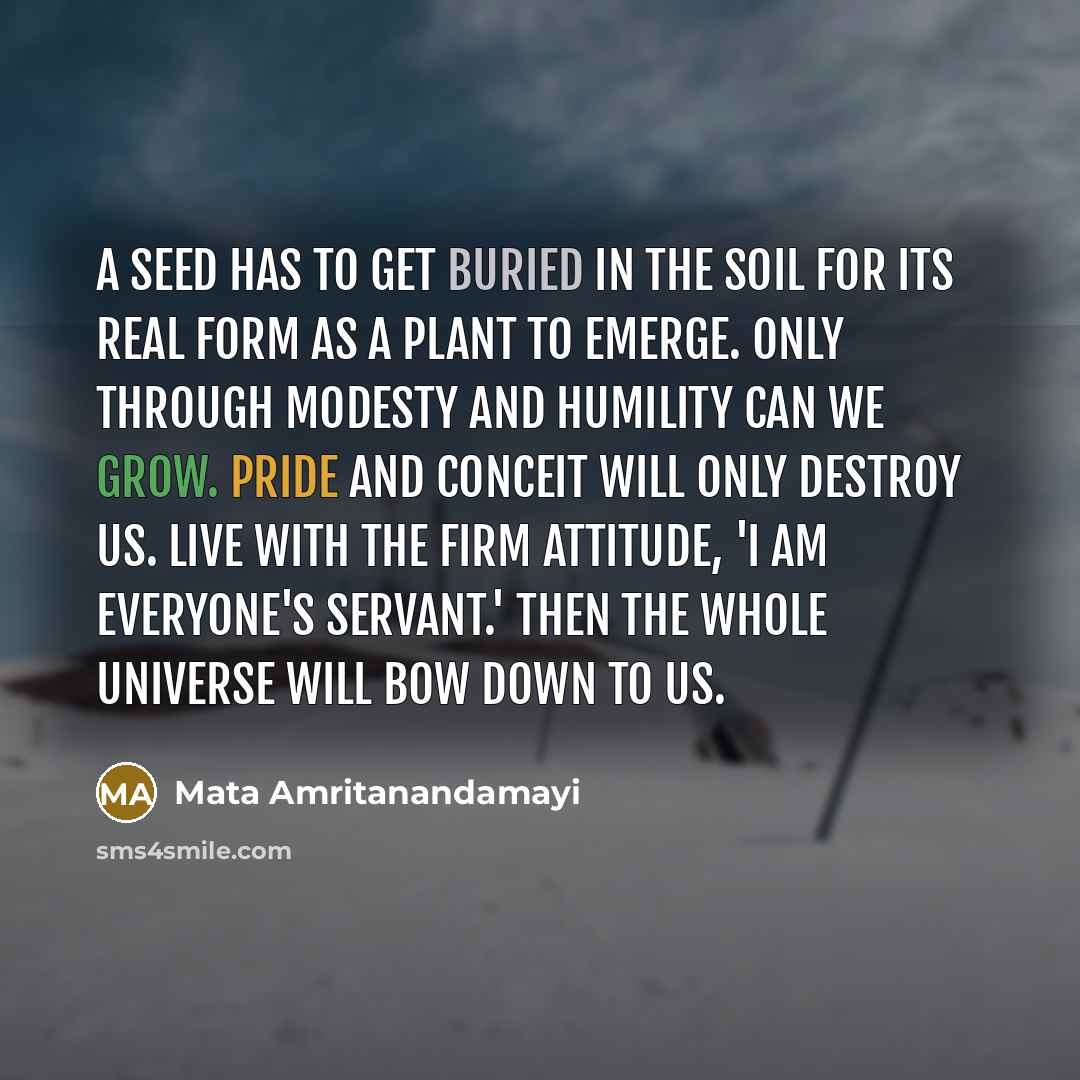 “A seed has to get buried in the soil for…” quote by Mata Amritanandamayi