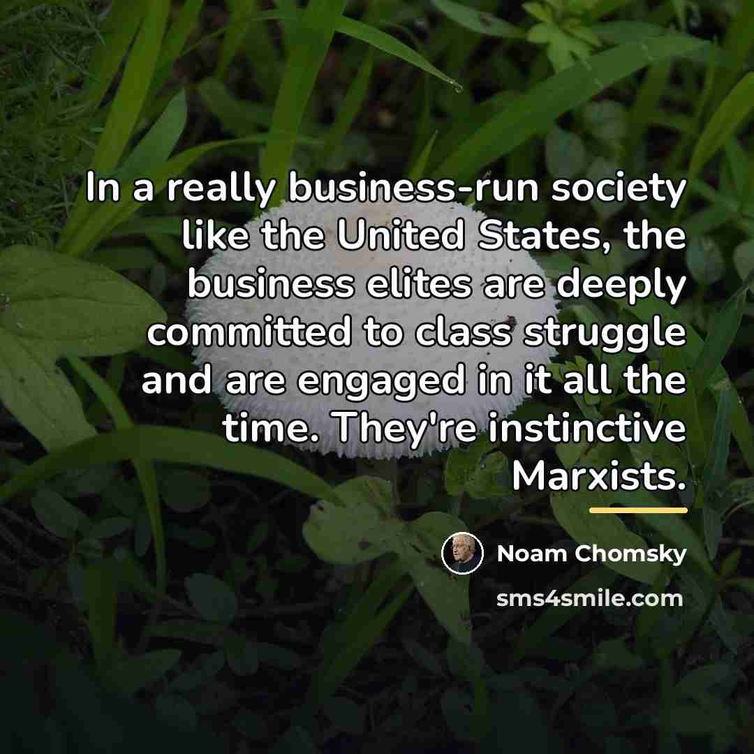 “In a really business-run society like the United States, the…” quote by Noam Chomsky