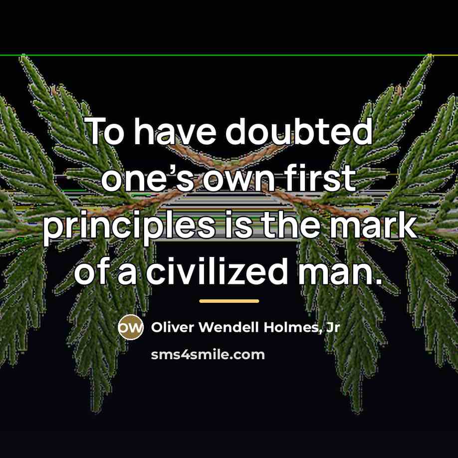 “To have doubted one's own first principles is the mark…” quote by Oliver Wendell Holmes, Jr