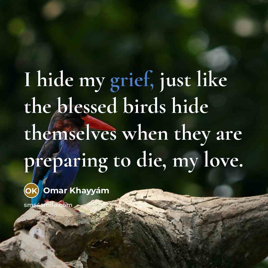 “I hide my grief, just like the blessed birds hide…” quote by Omar Khayyam