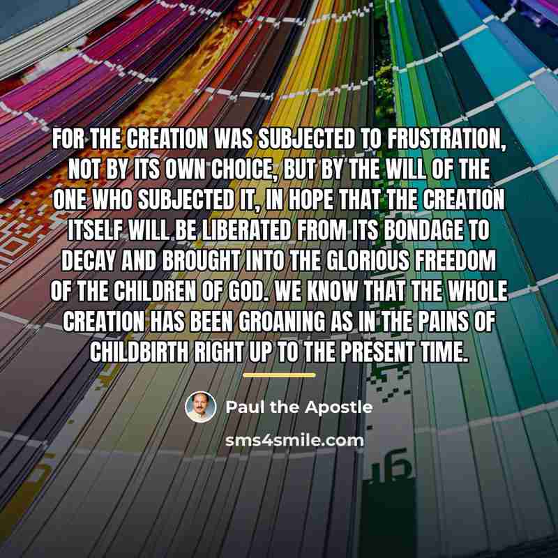 “For the creation was subjected to frustration, not by its…” quote by Paul the Apostle