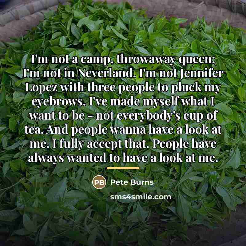 “I'm not a camp, throwaway queen; I'm not in Neverland.…” quote by Pete Burns