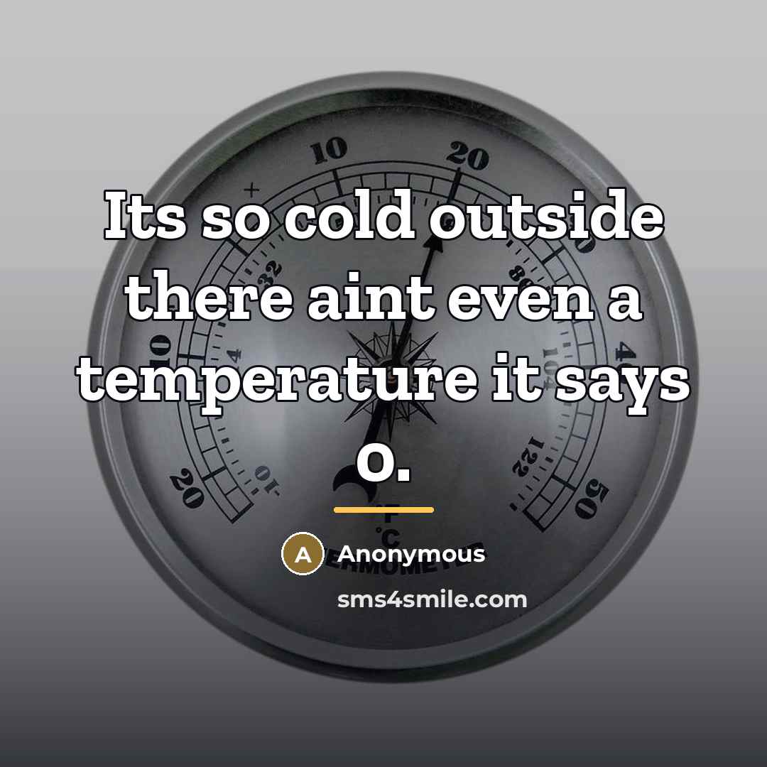 “Its so cold outside there aint even a temperature it…” quote by Anonymous