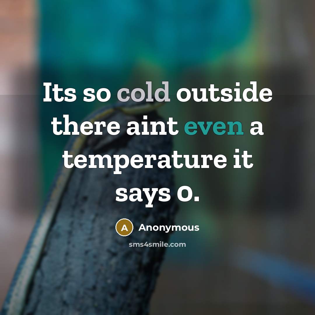 “Its so cold outside there aint even a temperature it says 0.” quote by Anonymous
