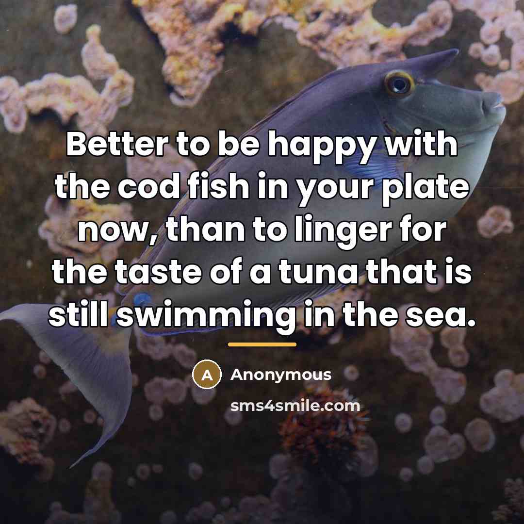“Better to be happy with the cod fish in your…” quote by Anonymous