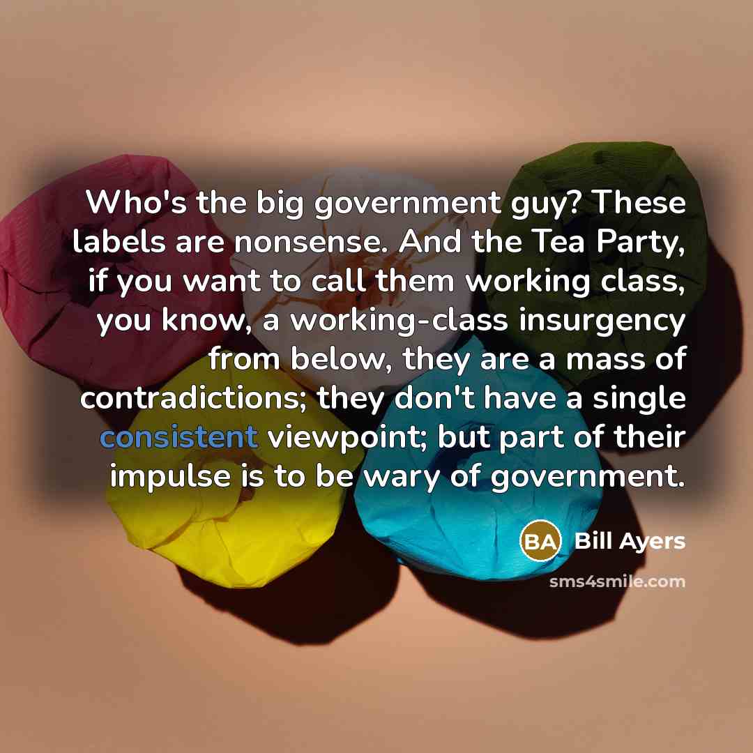 “Who's the big government guy? These labels are nonsense. And…” quote by Bill Ayers