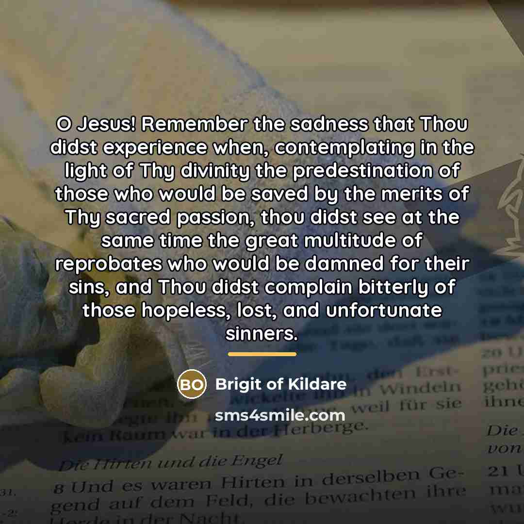 “O Jesus! Remember the sadness that Thou didst experience when,…” quote by Brigit of Kildare