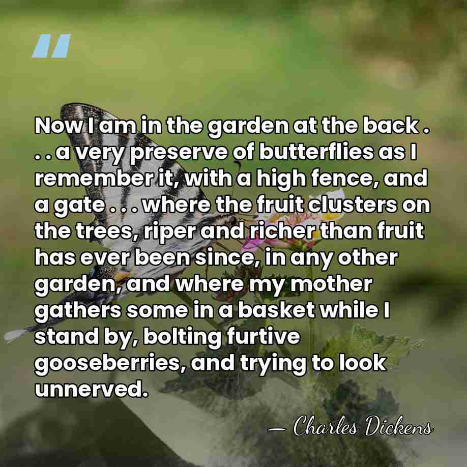 Now I am in the garden at the back . . .&hellip; - Charles Dickens