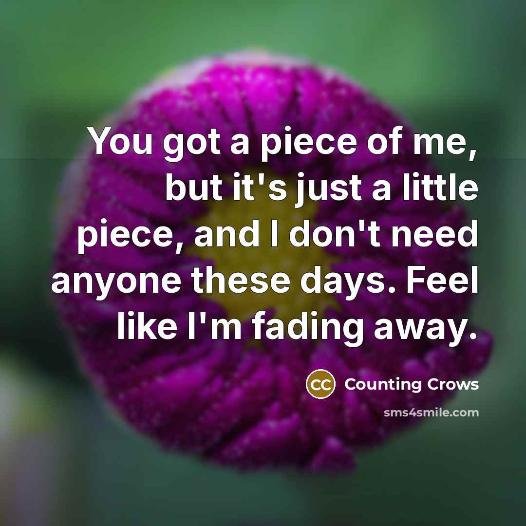 “You got a piece of me, but it's just a…” quote by Counting Crows