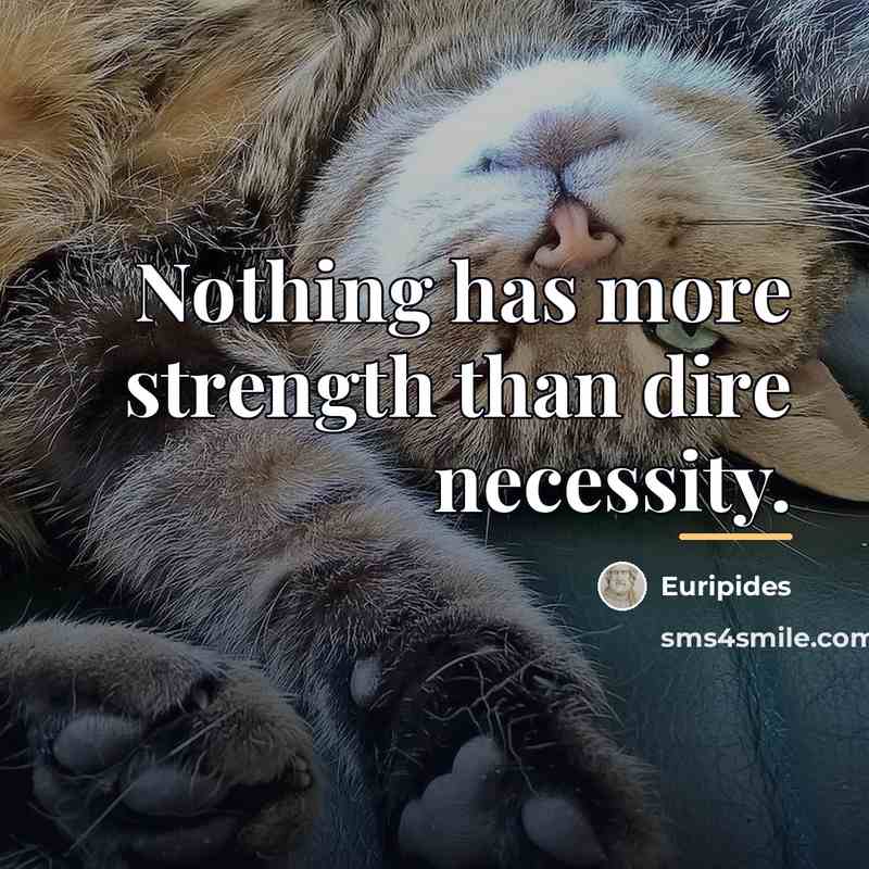 “Nothing has more strength than dire necessity.…” quote by Euripides