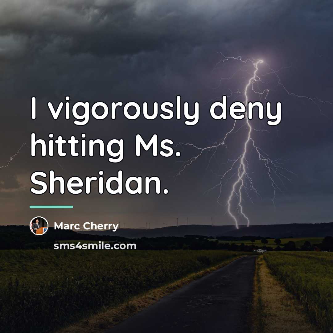 “I vigorously deny hitting Ms. Sheridan.…” quote by Marc Cherry