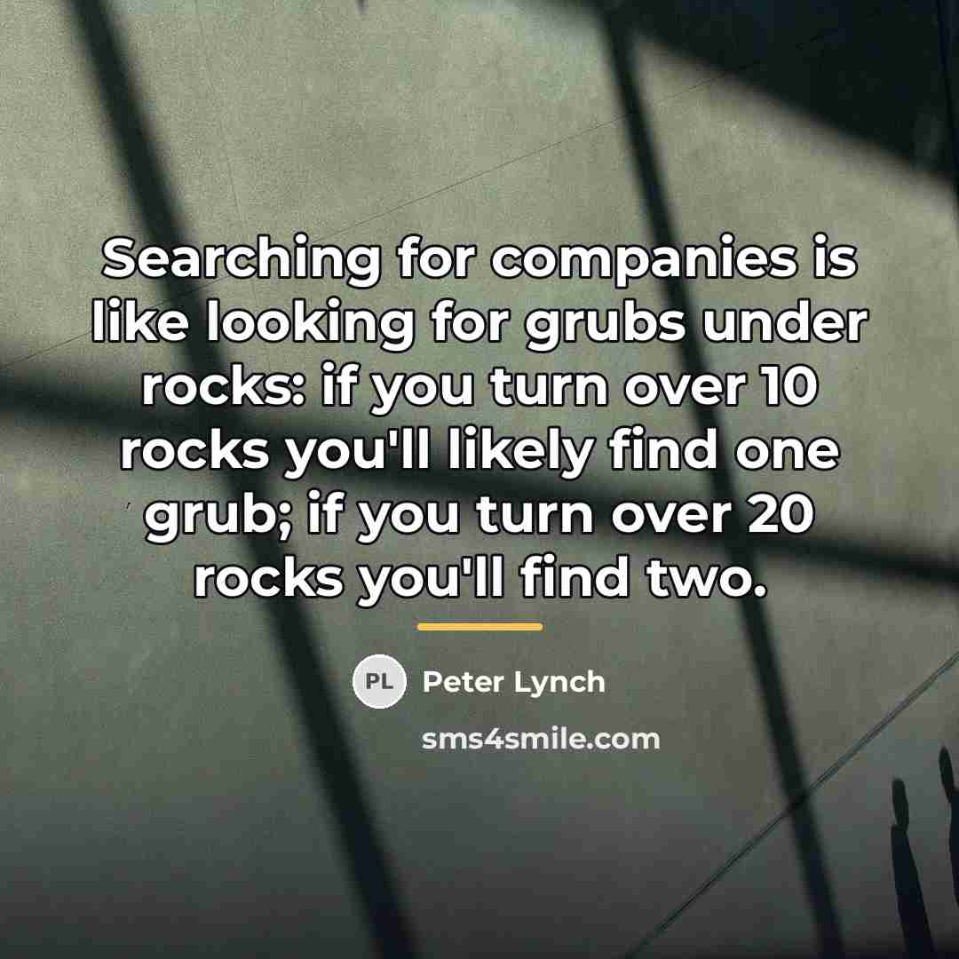 “Searching for companies is like looking for grubs under rocks:…” quote by Peter Lynch