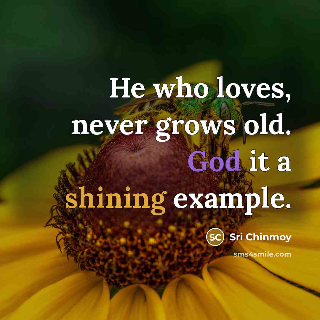 “He who loves, never grows old. God it a shining…” quote by Sri Chinmoy