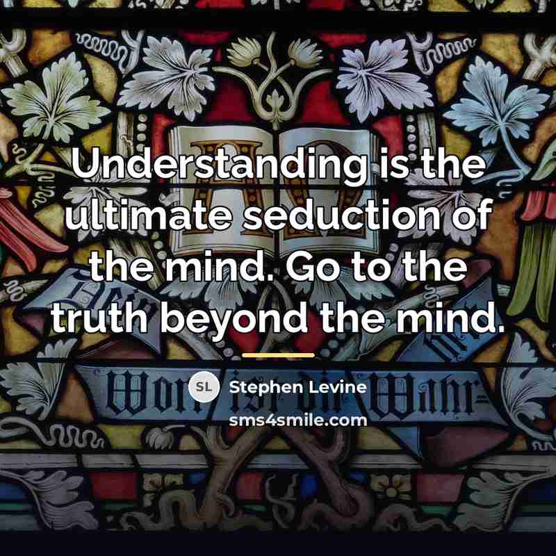 “Understanding is the ultimate seduction of the mind. Go to…” quote by Stephen Levine