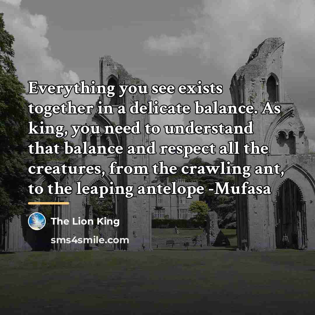“Everything you see exists together in a delicate balance. As…” quote by The Lion King