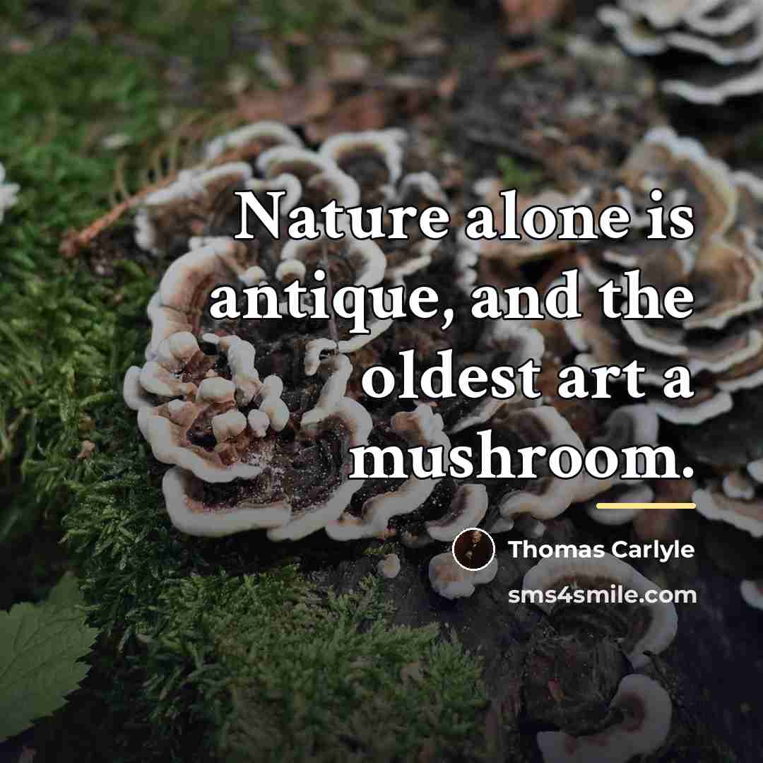 “Nature alone is antique, and the oldest art a mushroom.…” quote by Thomas Carlyle