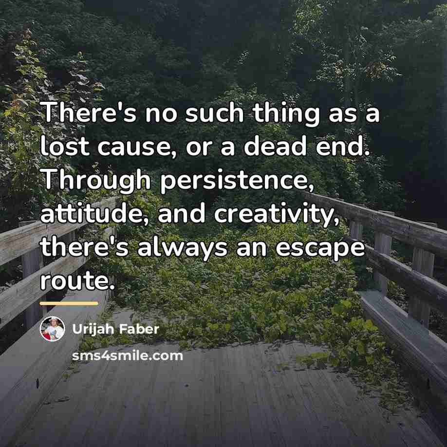 “There's no such thing as a lost cause, or a…” quote by Urijah Faber