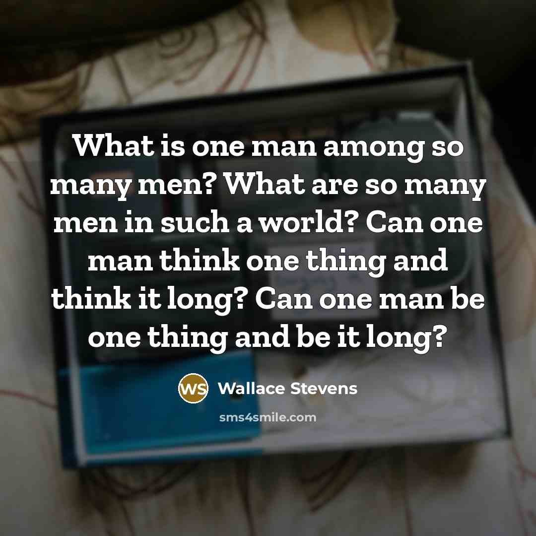 “What is one man among so many men? What are…” quote by Wallace Stevens