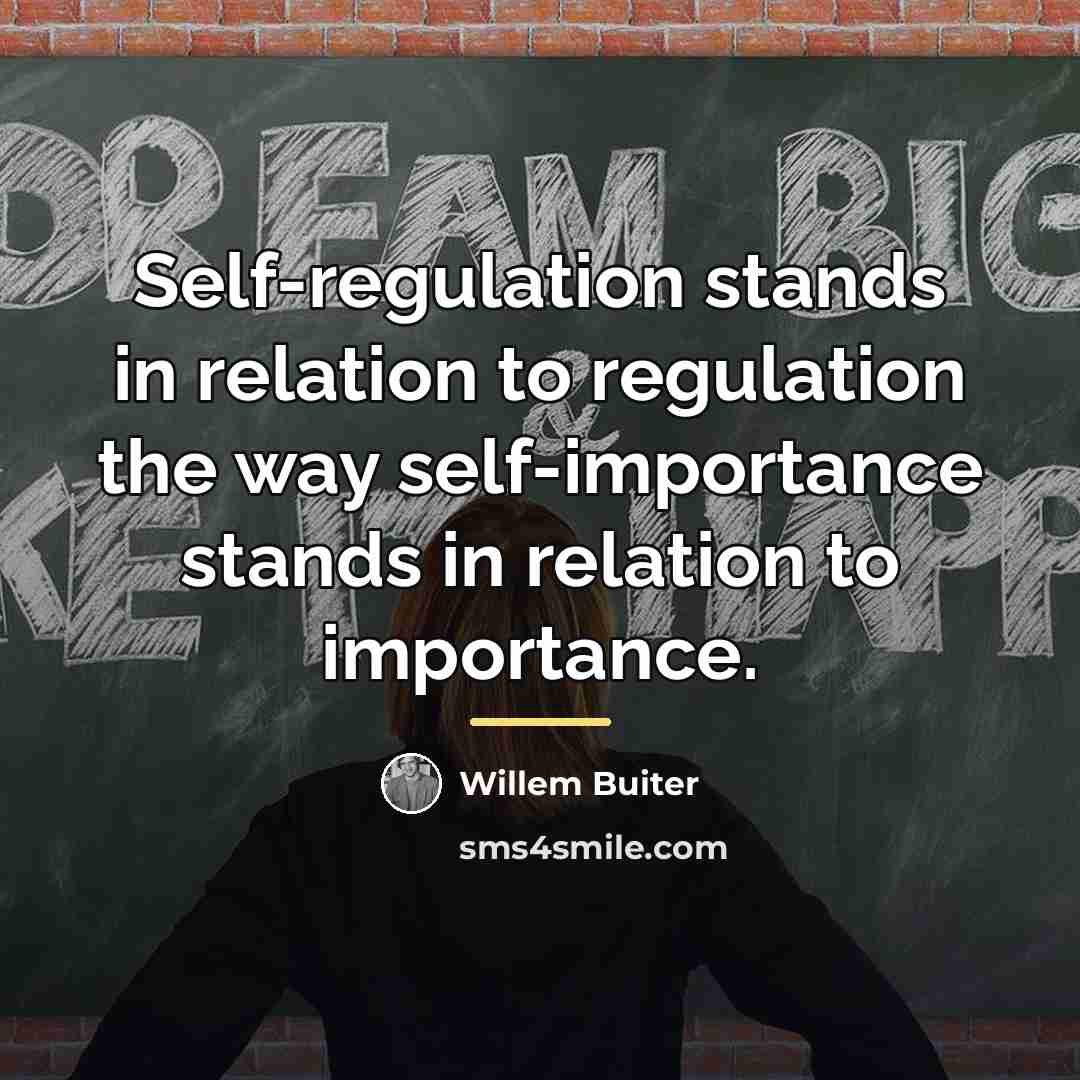 “Self-regulation stands in relation to regulation the way self-importance stands…” quote by Willem Buiter