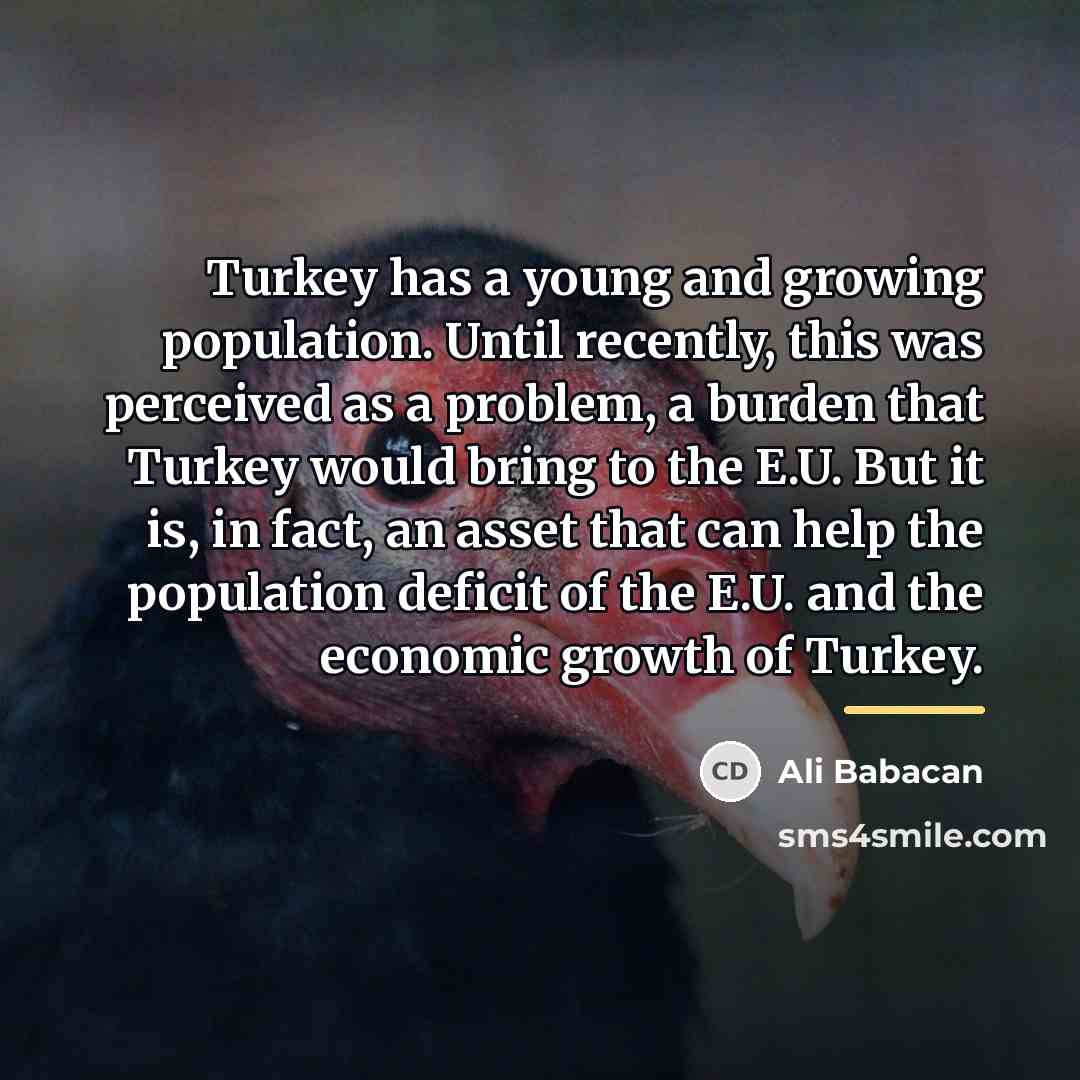 “Turkey has a young and growing population. Until recently, this…” quote by Ali Babacan