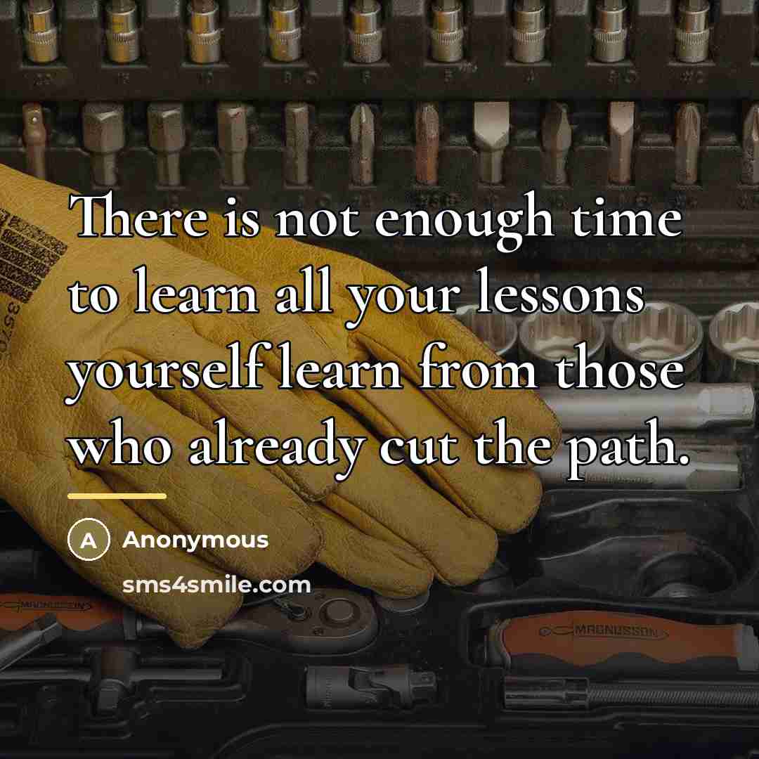 “There is not enough time to learn all your lessons…” quote by Anonymous