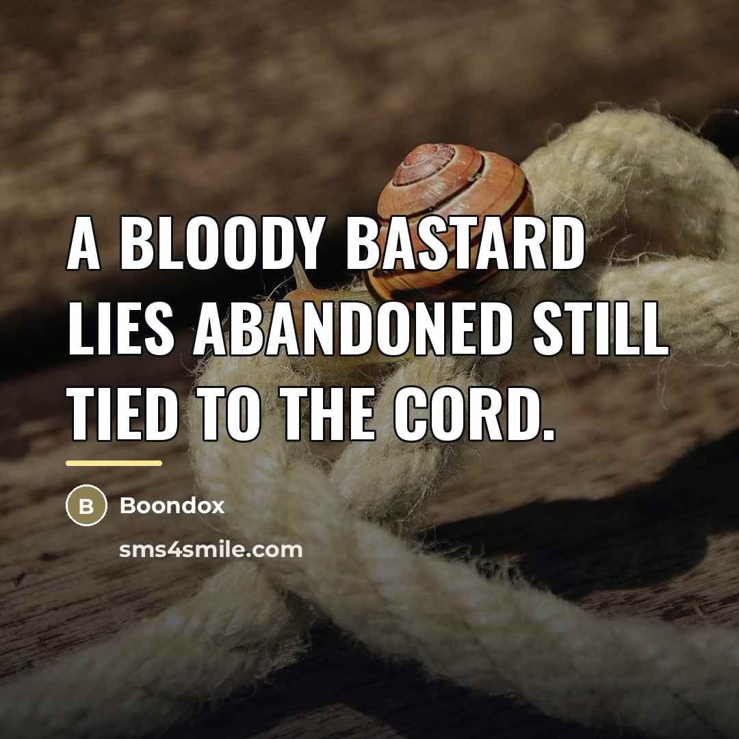 “A bloody bastard lies abandoned still tied to the cord.…” quote by Boondox