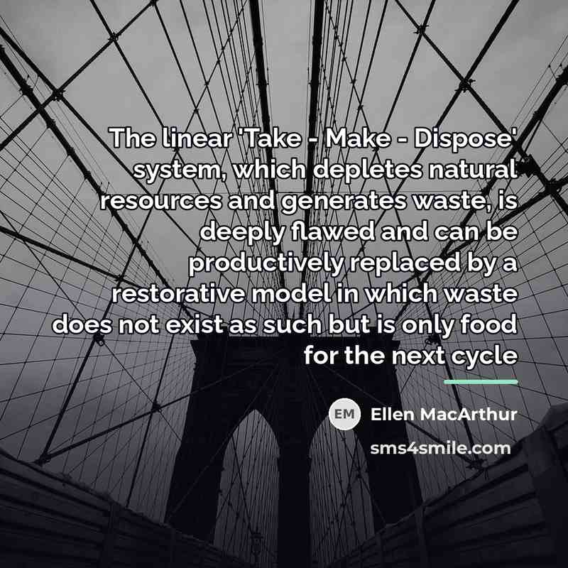 “The linear 'Take - Make - Dispose' system, which depletes…” quote by Ellen MacArthur