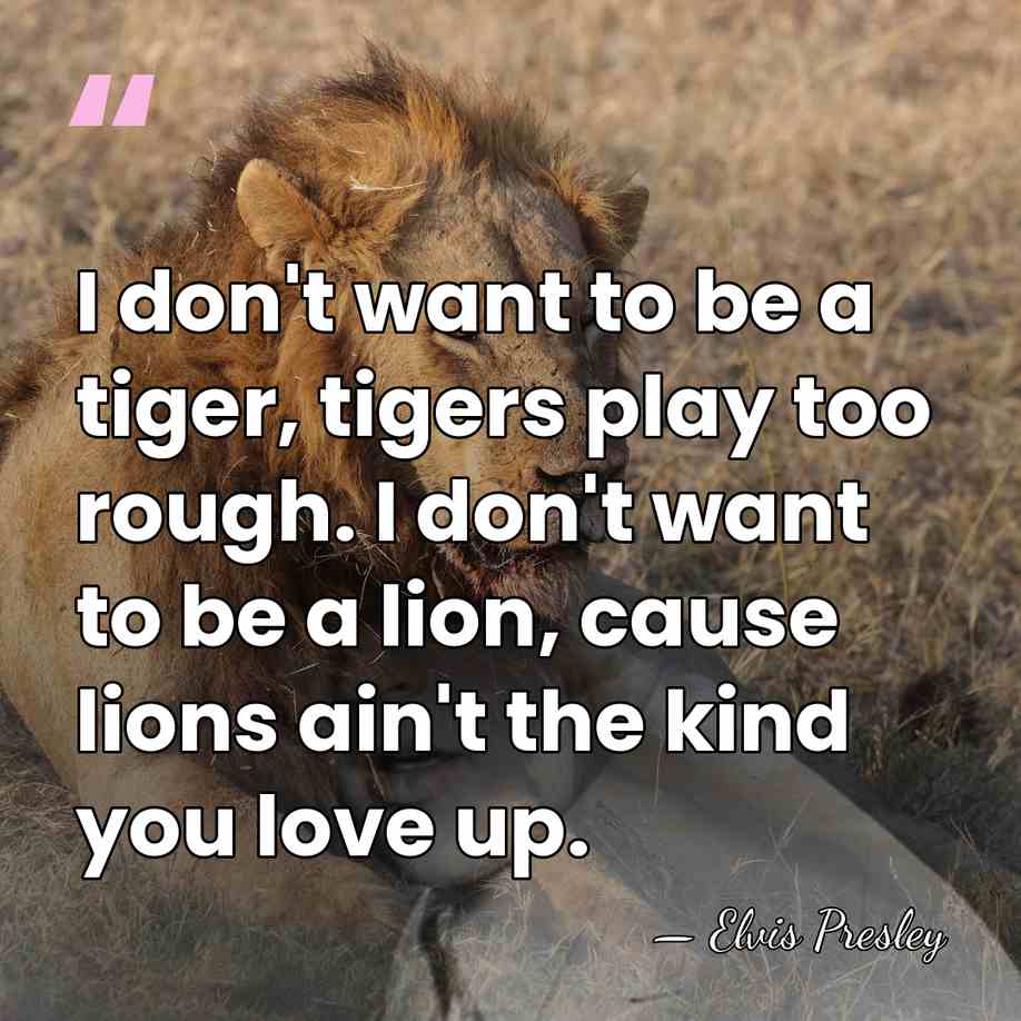 I don't want to be a tiger, tigers play too rough. I&hellip; - Elvis Presley