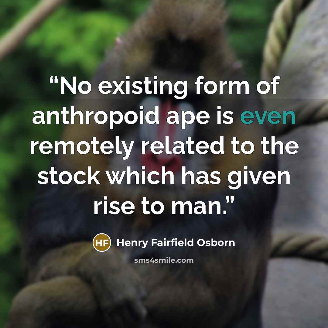 “No existing form of anthropoid ape is even remotely related to the stock which has given rise to man.” quote by Henry Fairfield Osborn