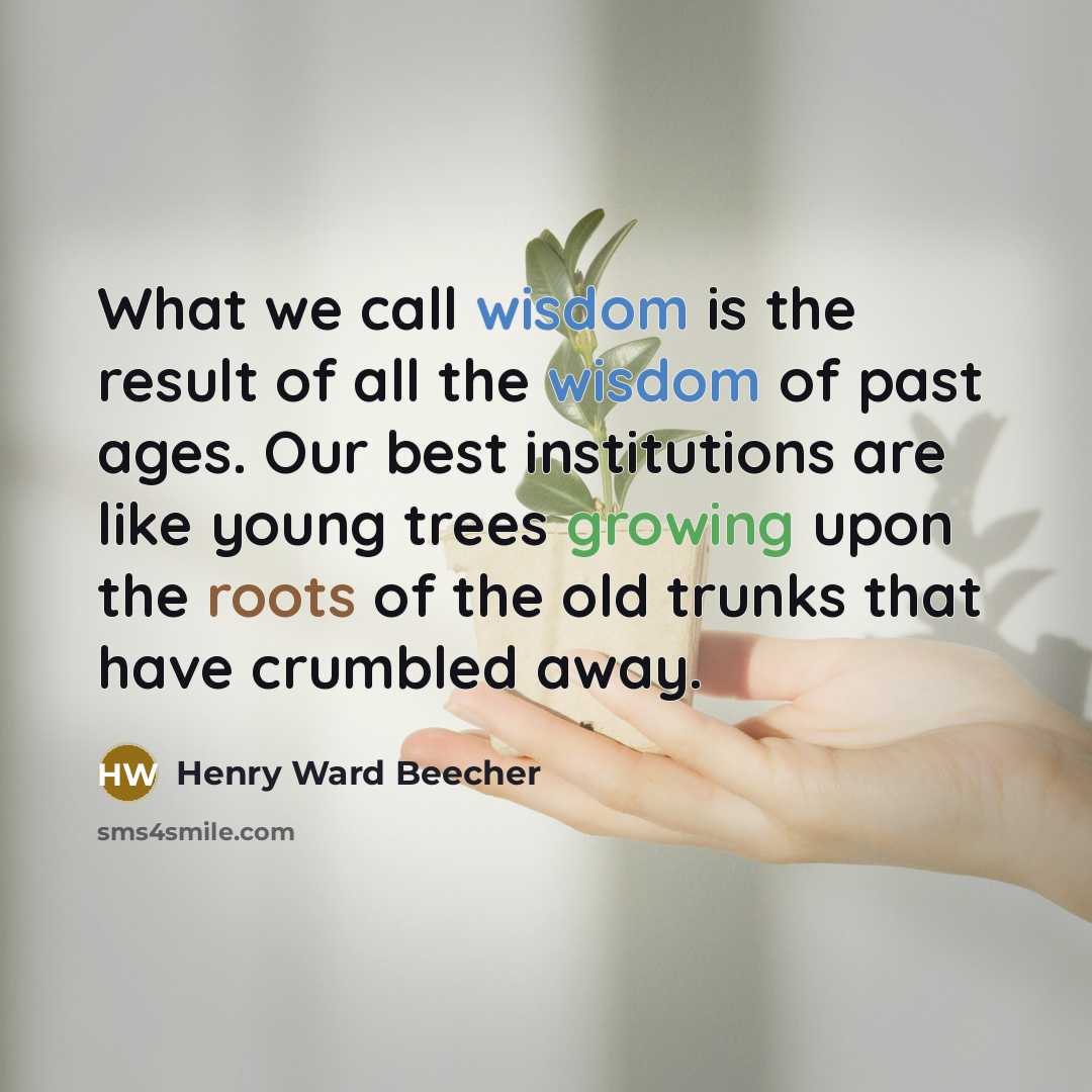 “What we call wisdom is the result of all the…” quote by Henry Ward Beecher