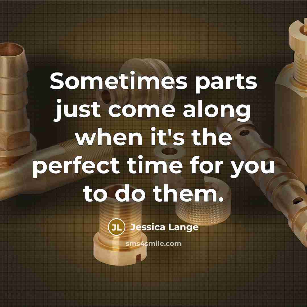 “Sometimes parts just come along when it's the perfect time…” quote by Jessica Lange