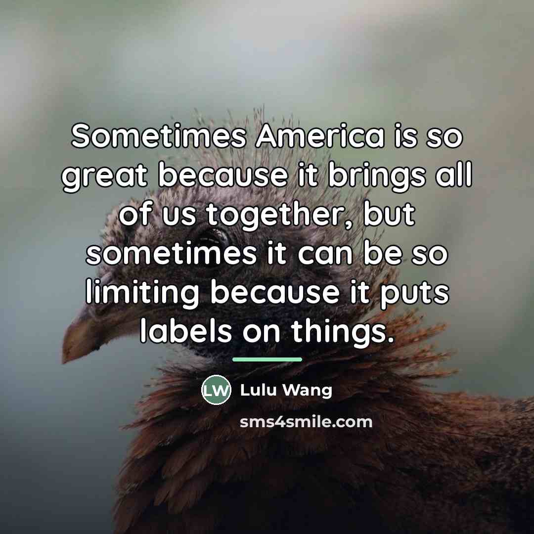 “Sometimes America is so great because it brings all of…” quote by Lulu Wang