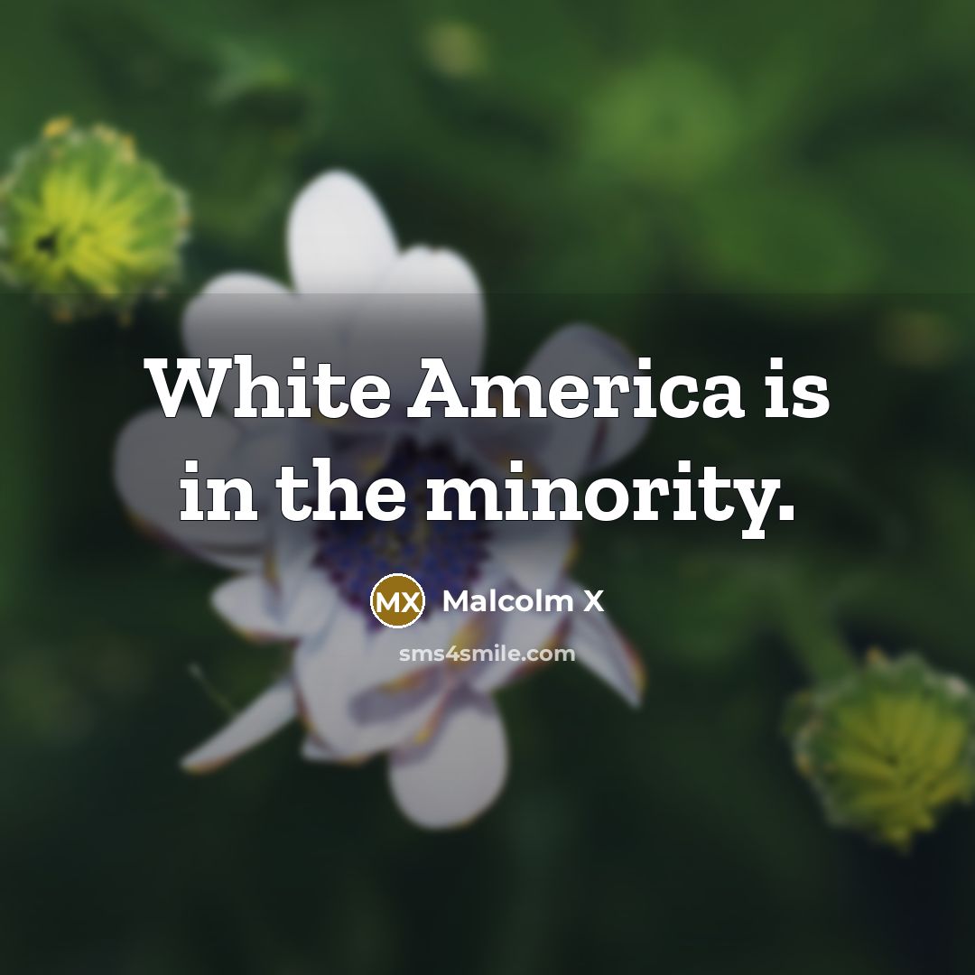 “White America is in the minority.…” quote by Malcolm X