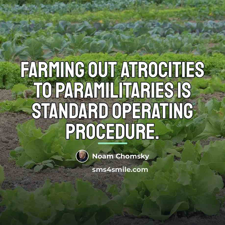 “Farming out atrocities to paramilitaries is standard operating procedure.…” quote by Noam Chomsky