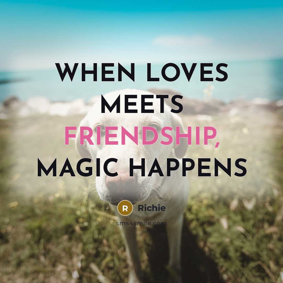 “WHEN LOVES MEETS FRIENDSHIP, MAGIC HAPPENS…” quote by Richie