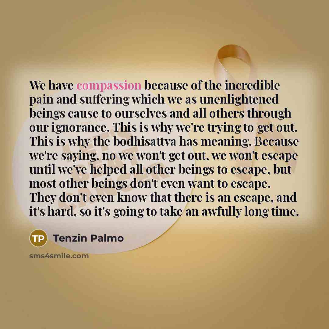 “We have compassion because of the incredible pain and suffering…” quote by Tenzin Palmo