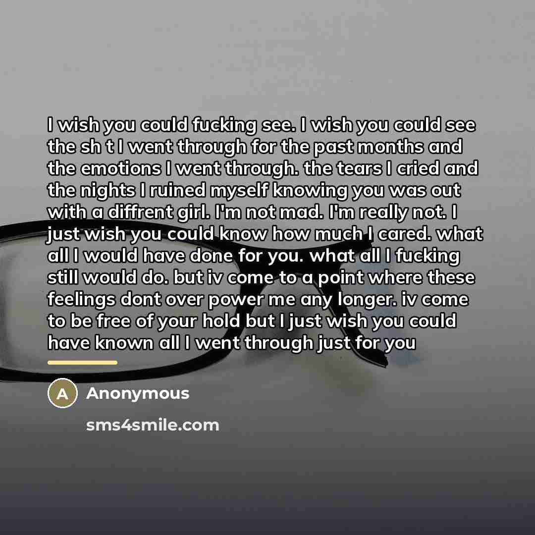 “I wish you could fucking see. I wish you could…” quote by Anonymous
