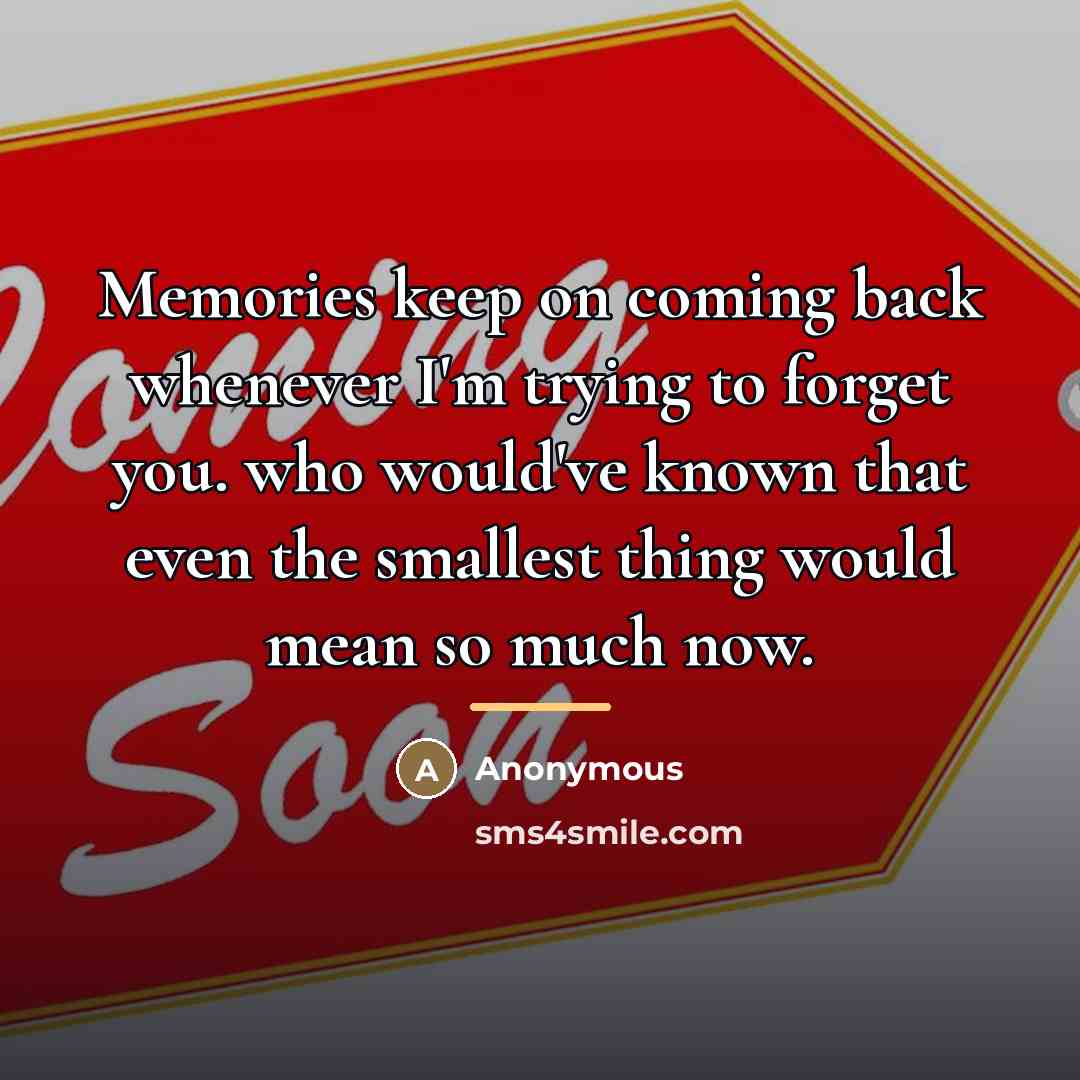 “Memories keep on coming back whenever I'm trying to forget…” quote by Anonymous