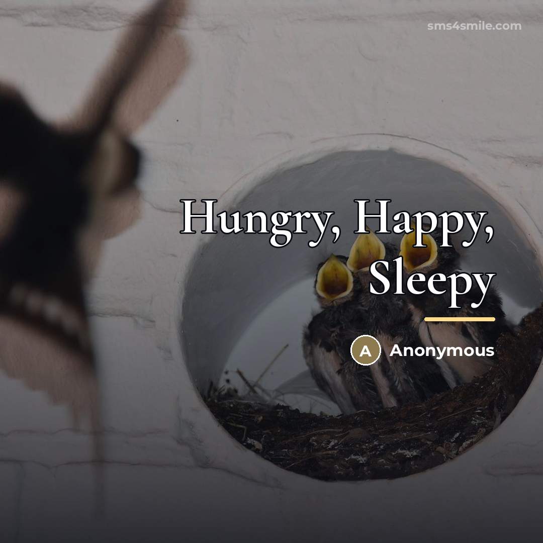 “Hungry, Happy, Sleepy…” quote by Anonymous