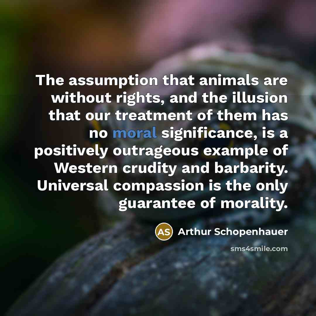 “The assumption that animals are without rights, and the illusion…” quote by Arthur Schopenhauer