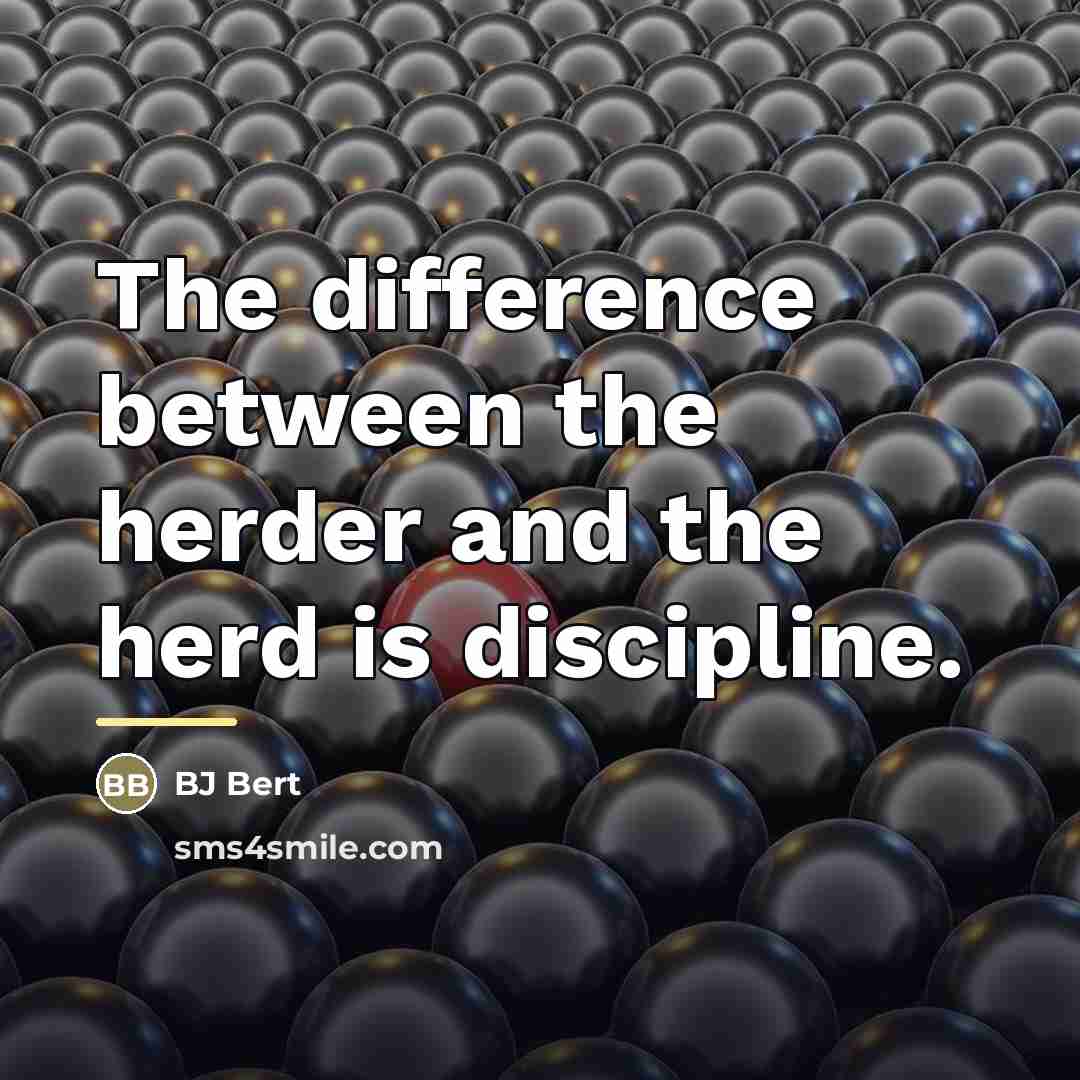“The difference between the herder and the herd is discipline.…” quote by BJ Bert