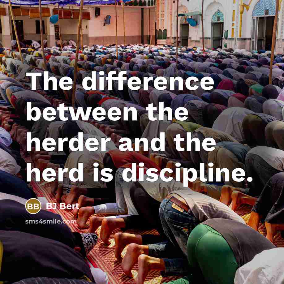 “The difference between the herder and the herd is discipline.” quote by BJ Bert