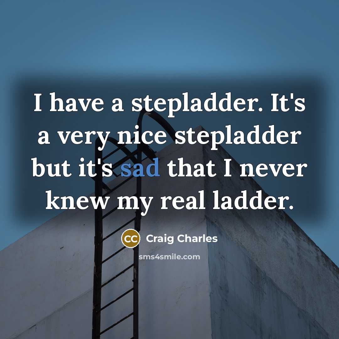“I have a stepladder. It's a very nice stepladder but it's sad that I never knew my real ladder.” quote by Craig Charles