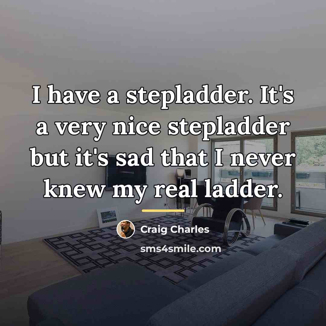 “I have a stepladder. It's a very nice stepladder but…” quote by Craig Charles