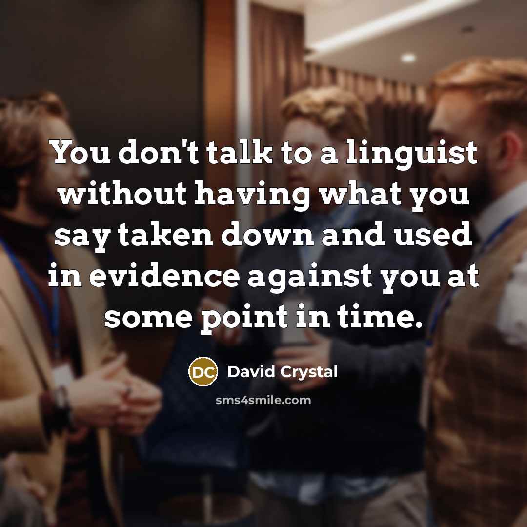 “You don't talk to a linguist without having what you…” quote by David Crystal