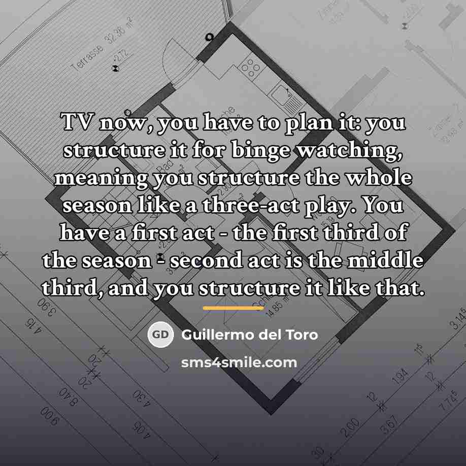 “TV now, you have to plan it: you structure it…” quote by Guillermo del Toro