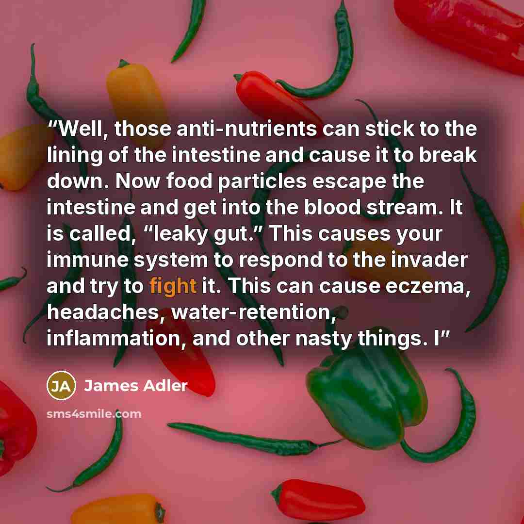 “Well, those anti-nutrients can stick to the lining of the intestine and cause it to break down. Now food particles escape the intestine and get into the blood stream. It is called, “leaky gut.” This causes your immune system to respond to the invader and try to fight it. This can cause eczema…” quote by James Adler