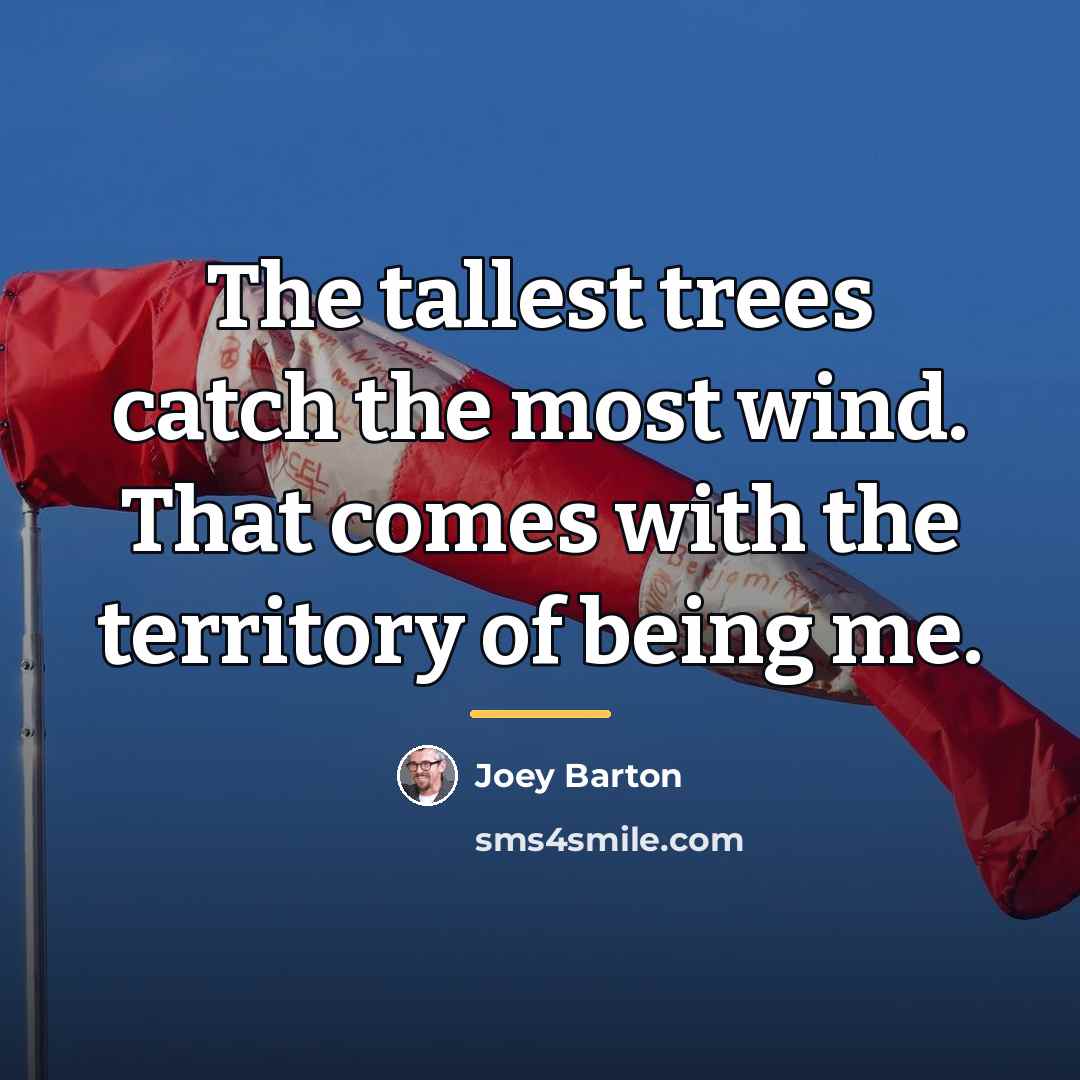 “The tallest trees catch the most wind. That comes with…” quote by Joey Barton