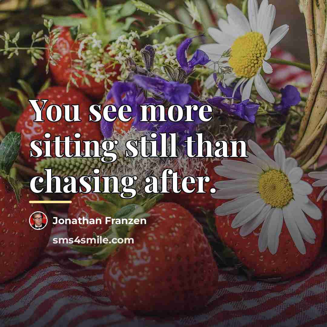 “You see more sitting still than chasing after.…” quote by Jonathan Franzen