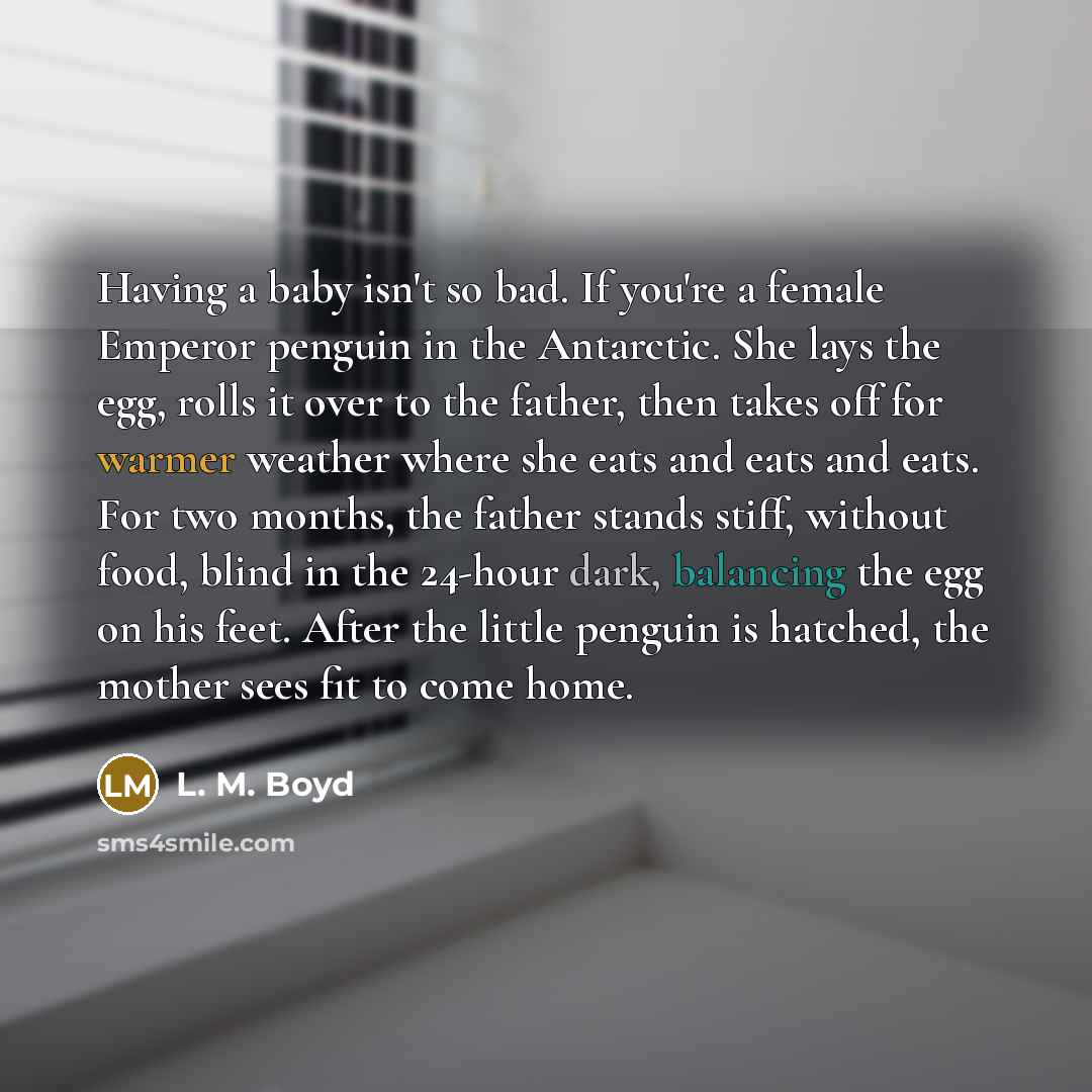 “Having a baby isn't so bad. If you're a female…” quote by L. M. Boyd